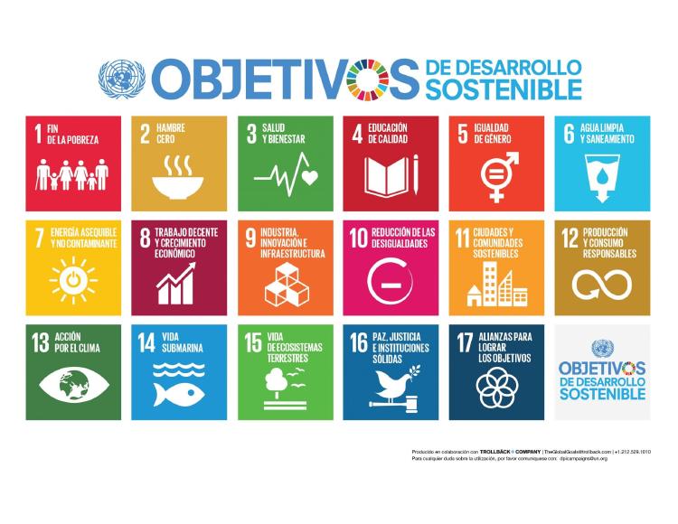 S SDG Poster_ Letter S SDG Poster_ Letter